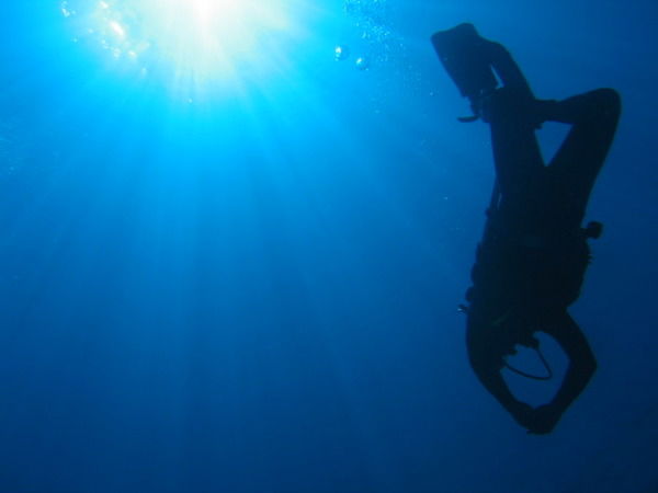 Александр Сычев