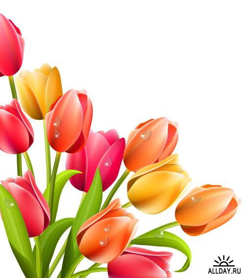 Муслимка ****о****