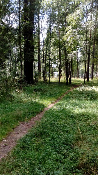 Таня Строителева