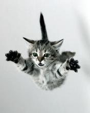 Александр Зуев