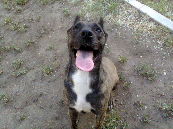 *** Джессика Zf***