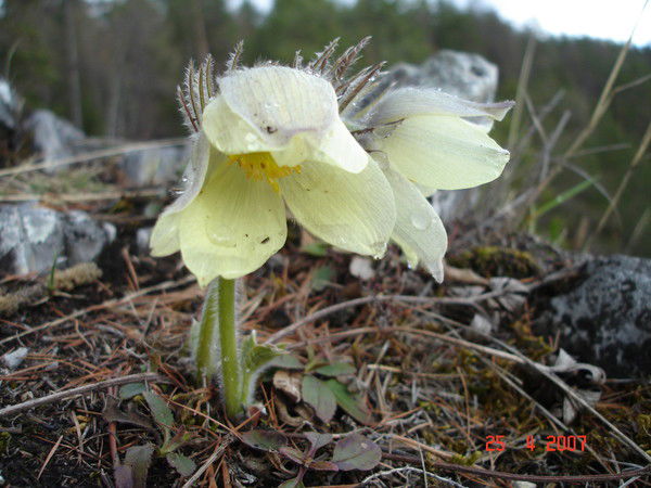 Неизвестно Неизвестно