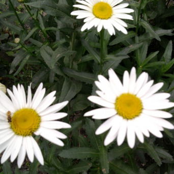 Наталья Кударенко(Колесникова)