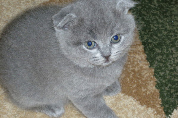 Наталия Смирнова