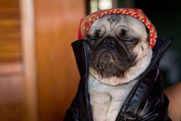 Дмитрий Василенко