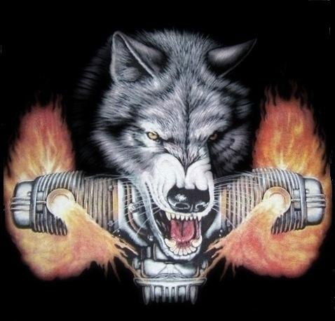 Дмитрий "s.t.a.v." Пестов