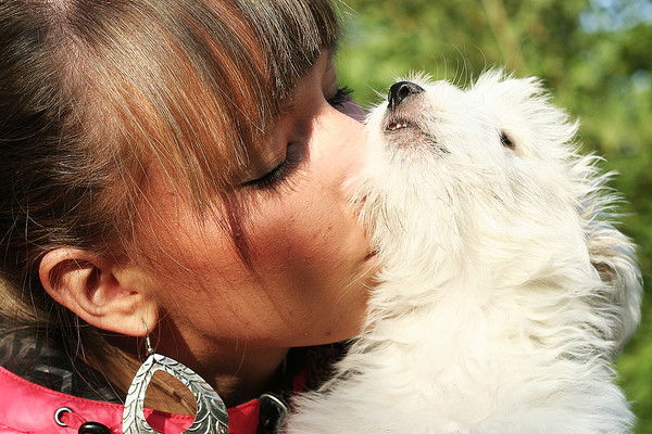 Dasha Аргумент