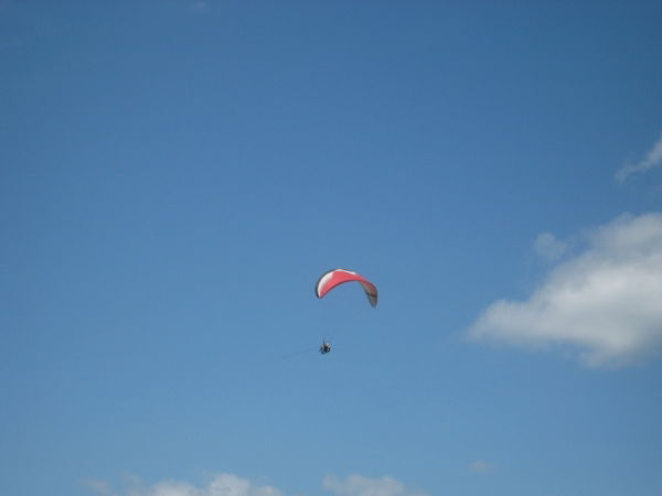 Лариса Башлыкова