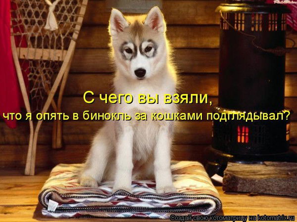 Rok Masque Музыкант