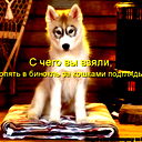 Rok Masque Музыкант