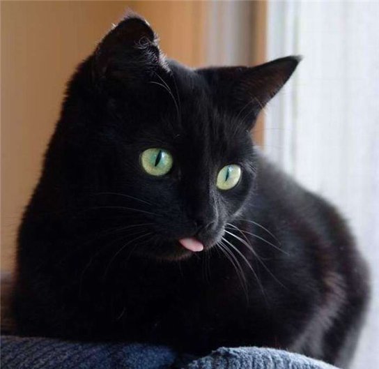 Надежда Гуркаева