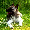Lena :)