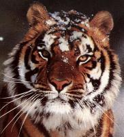 Фирма Энерготекс