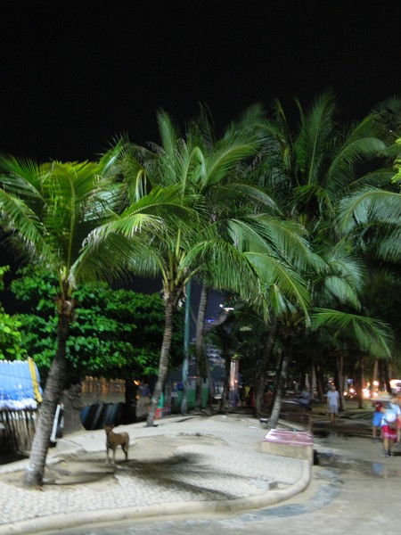 Римма Фирстова