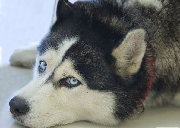 Алик Габдрафиков