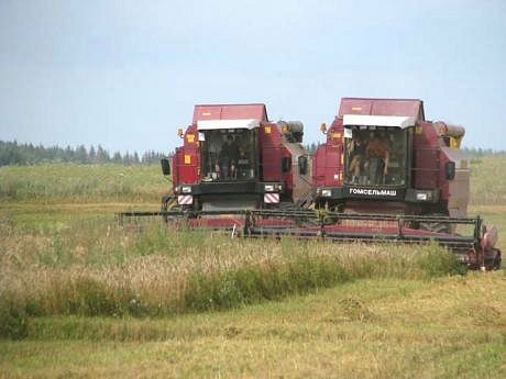 Андрей Бекешко