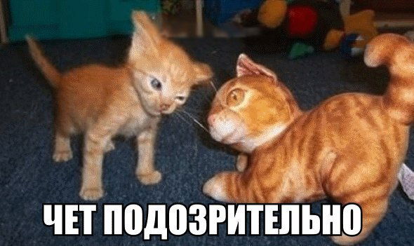 Надежда Иванова