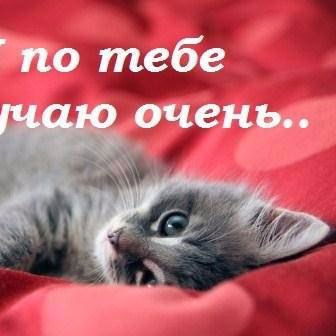 Злата Кузьминых