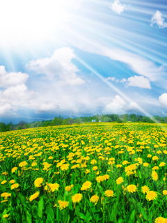 База Спецмедснабжения Уз Юко