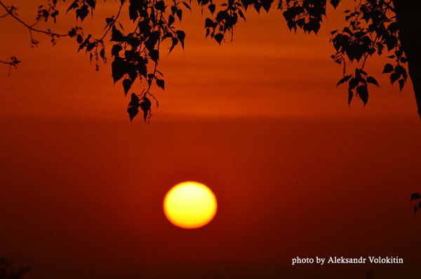 Юрий Зинченко