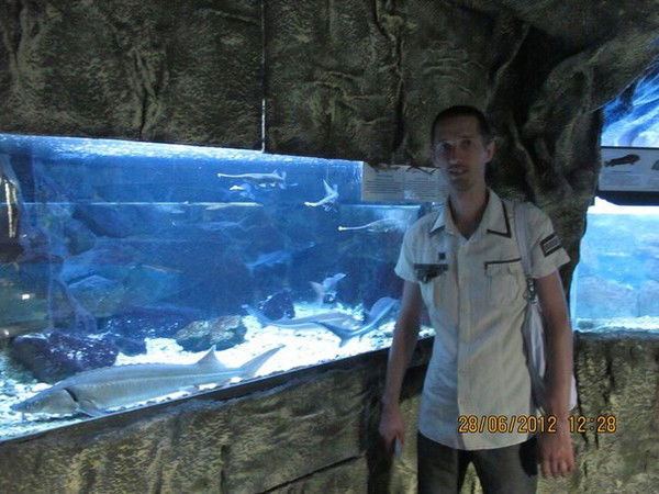 Олег Бердеу