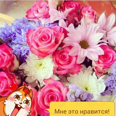 Татьяна Гасанова