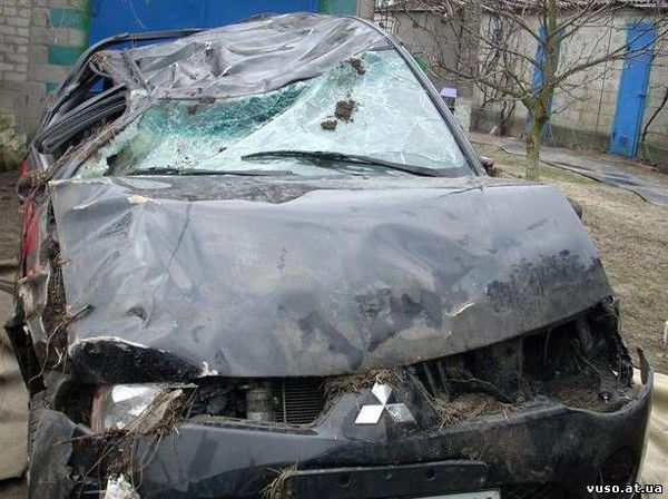 Василий Волков