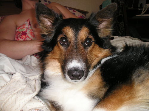 Тимур Еремеев