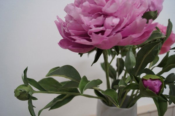 Лидия Павловна Деева