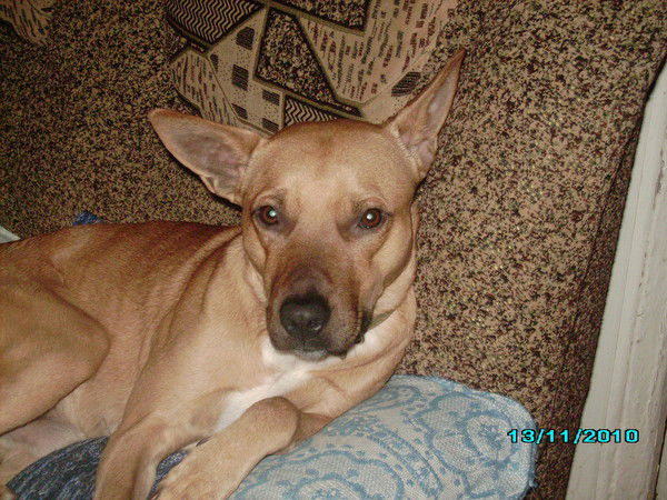 Степан Степанов