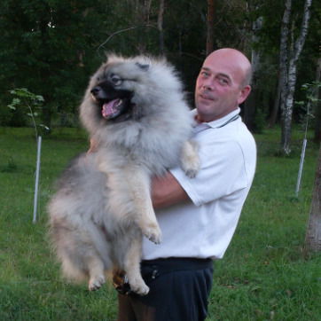 Владимир Тимошенко