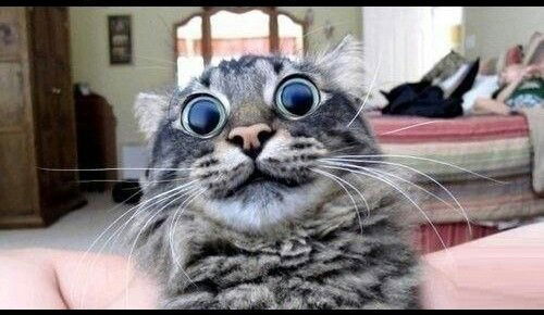 Артём Злобин