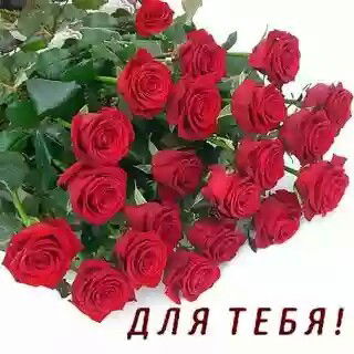 Омиржан Окасов