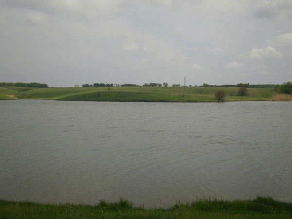 Наталья Табуровская