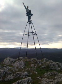 Пионер Любитель