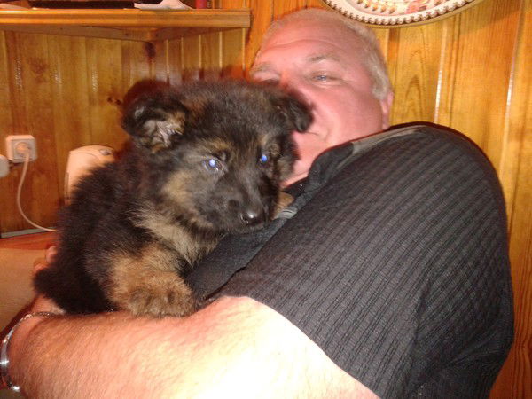 Сергей Крыжановский