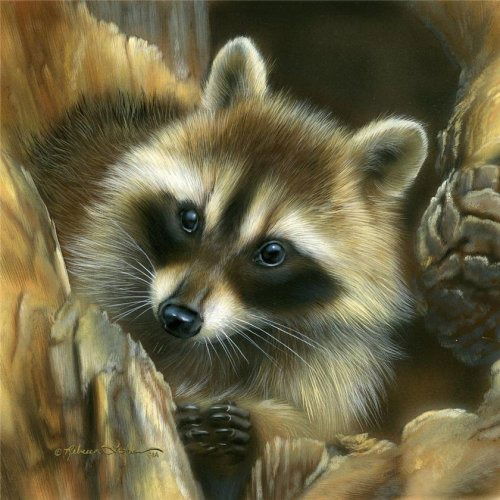 Юлия Зайчикова