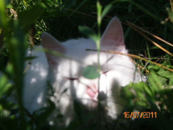 Надежда Леонова