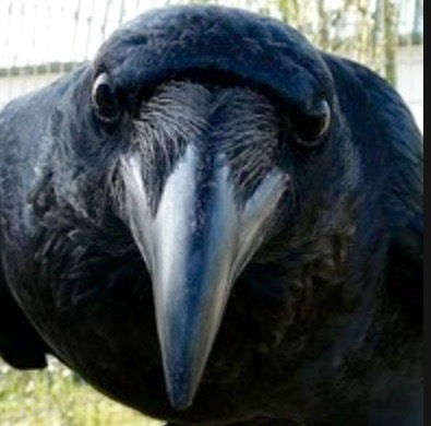 Ада Ахсоварова