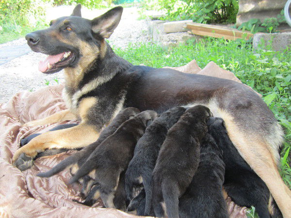 Валентина G.