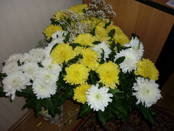 Светлана Заикина