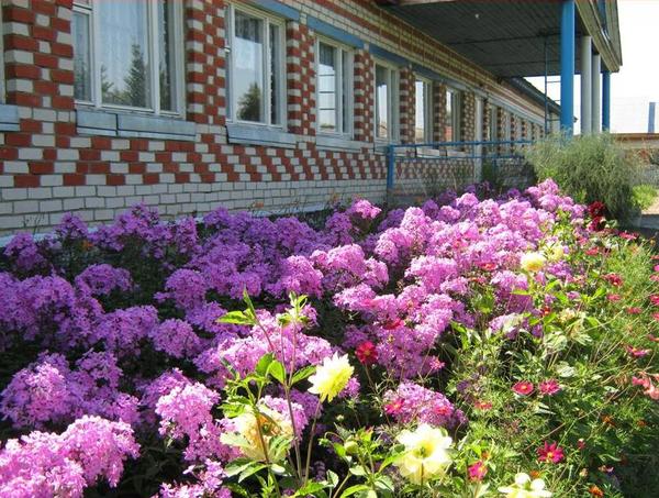 Мамлейская Школа