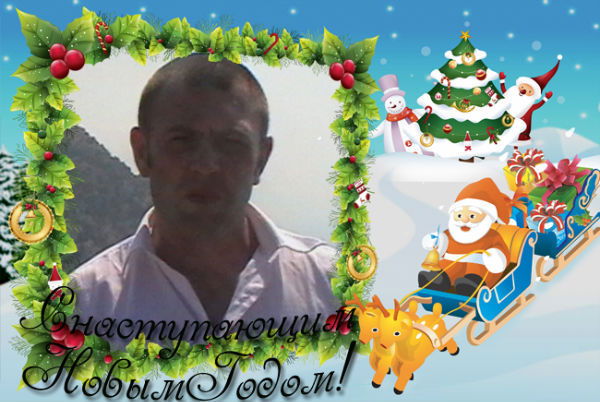 Александр Покинтелица