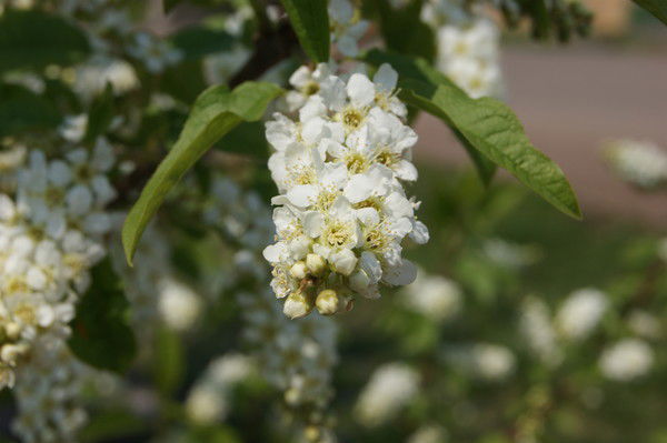 Екатерина Золотухина