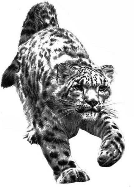 Денис Шнайдер