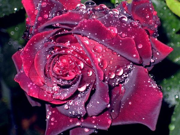 Юлия Ашомко