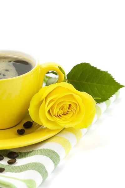 Майя Дроздецкая