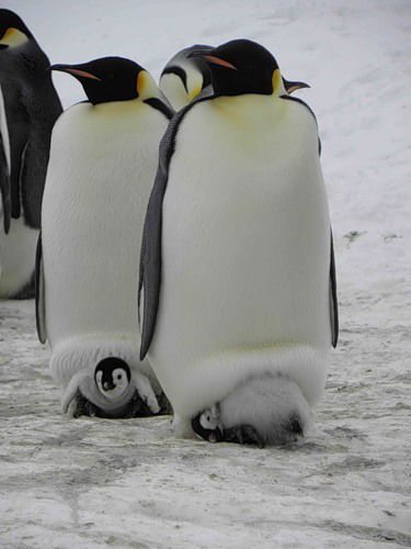 Алексей Парбузин