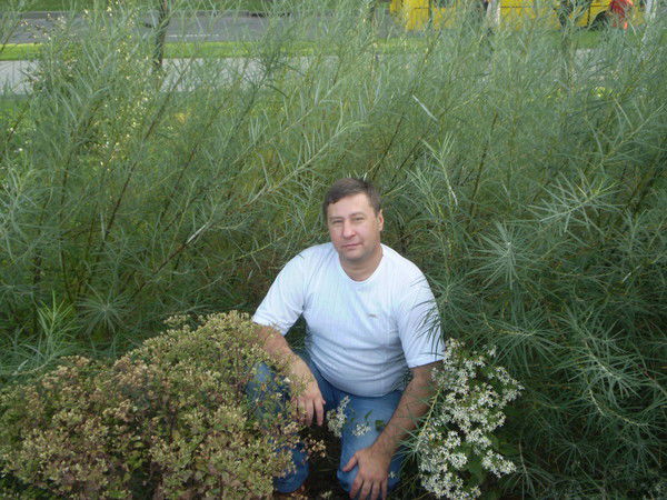 Геннадий Шкадов