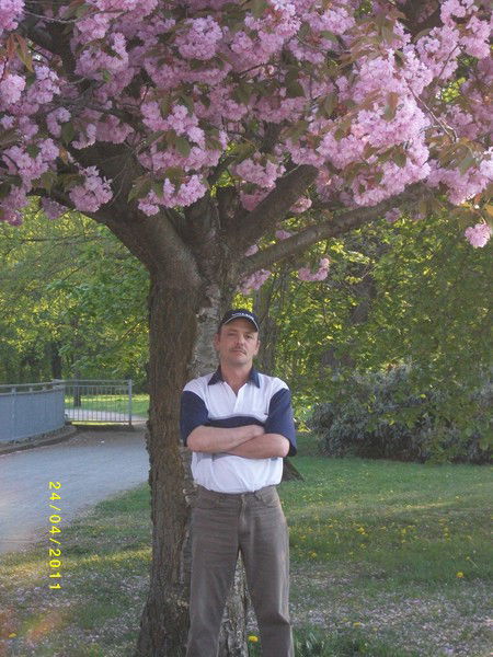 Герман Гиберт